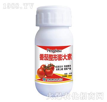 �������������-���䌍(sh��)�I(y��)