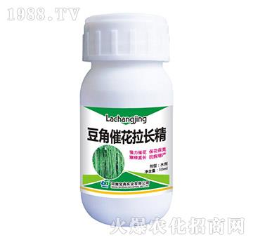 ���Ǵ߻����L��-���䌍�I(y��)