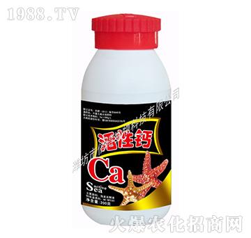 �����}-�ŵ�