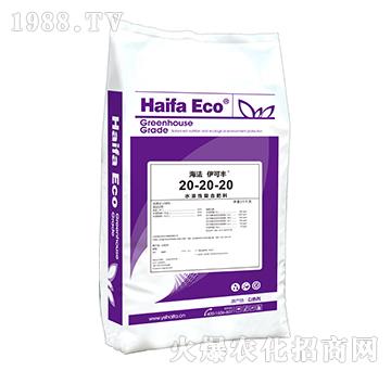 ˮ���ԏͺϷ���20-20-20-�����S-����