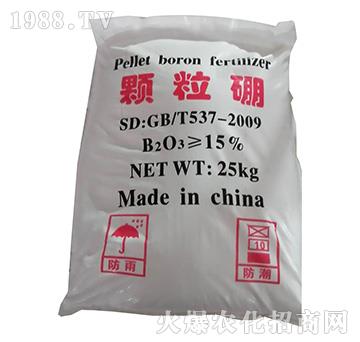 �w�����-���������