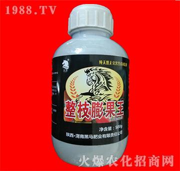 ��֦�����-���R�ʘI(y��)