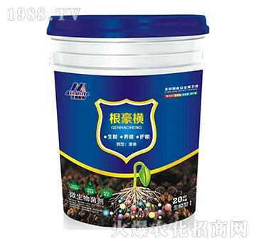 ��������΢�������-�����M-��ķ˹��