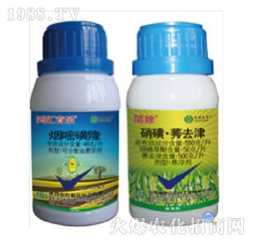 40��ÿ�����׻�¡+550��ÿ�����ǡ��Pȥ��-����-���r(n��ng)(li��n)��