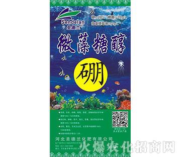 ΢���Ǵ���-ʥ���m