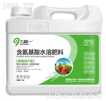 ��ݮ�߮a(ch��n)�ͺ�������ˮ�ܷ���-�ż�һ