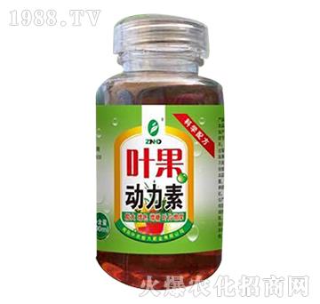 �~����(d��ng)����-���r(n��ng)���