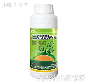 ��ѿ���h-��(li��n)