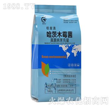 ����ľù��-������-����r(n��ng)�I(y��)