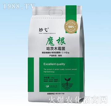 ����ľù��-Ħ��-���-��(��i)ɭ��