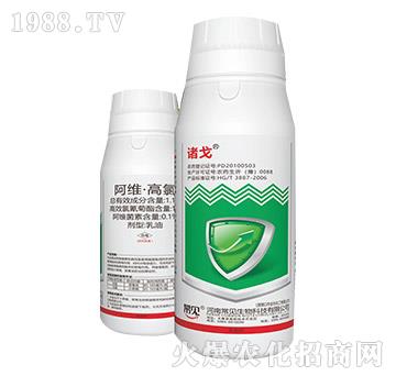 1.1%���S����-�T��-��Ҋ����