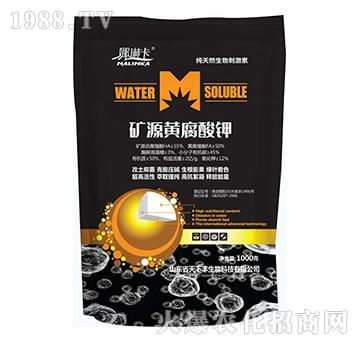 �VԴ�S�����-���տ�-�����S