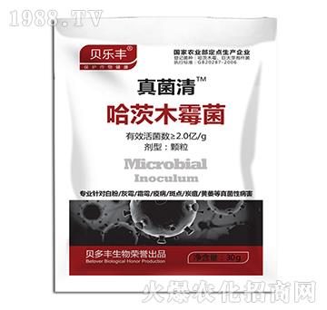 ����ľù��-�����-ؐ���S