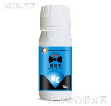 �Ǵ��V-��ܼ�-���