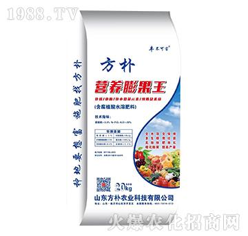 �I(y��ng)�B(y��ng)�����-����