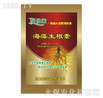 ����������-�S������