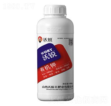 �ЙC(j��)�-���J-�ּ��S�ʘI(y��)