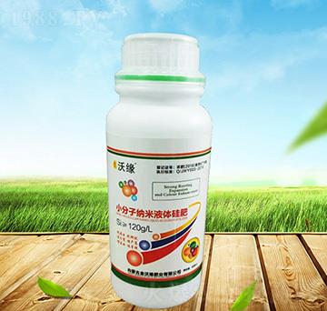 С���Ӽ{��Һ�w���-���־�