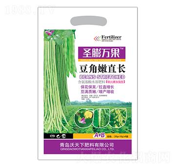 ������ֱ�L(zh��ng)-ʥ���f(w��n)��-������