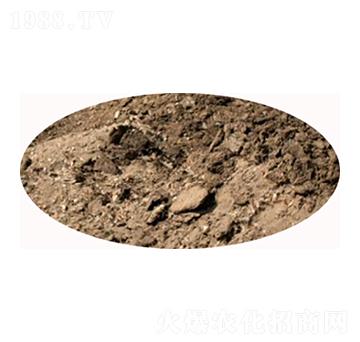 ���u�S�ЙC��-���S����