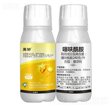 240��ÿ����߻����-Ӣ��-�S�՘�