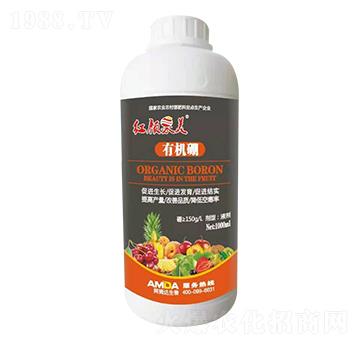 �ЙC(j��)��-�t���-��ķ�_(d��)