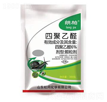 6%�ľ���ȩ ���� �Ɍ�