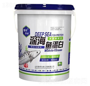 ��~���� ��܎