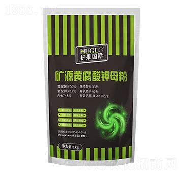 �VԴ�S�����ĸ��-�o��