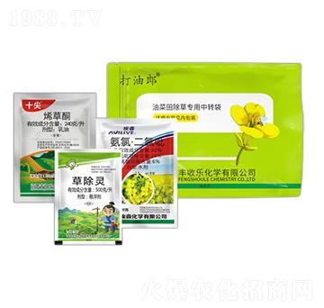 240��ÿ��ϩ��ͪ+500��ÿ���ݳ��`+30%���ȡ�������-������-�S�՘�