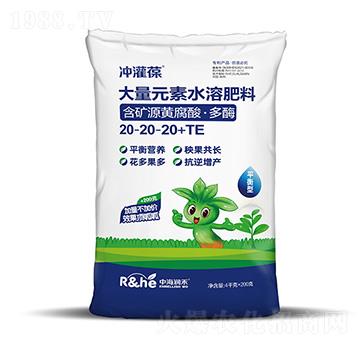 4.2kgƽ���ʹ���Ԫ��ˮ�ܷ���20-20-20+TE-�_����-�к���(r��n)��
