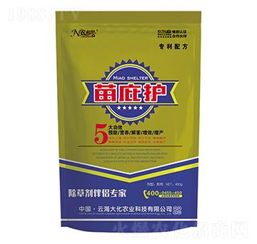 ���ݰ�H����-����o-�ƺ���