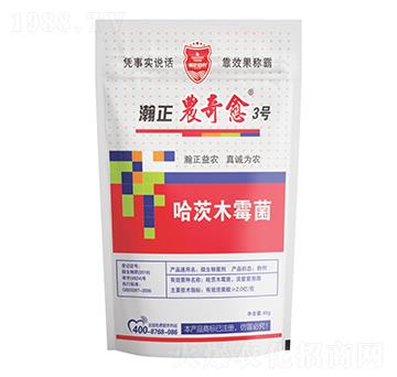 ����ľù��-����r(n��ng)����3̖(h��o)-������r(n��ng)