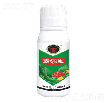 �����������-¶����-��ţ���H