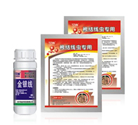 ���y��-���Y(ji��)���x����