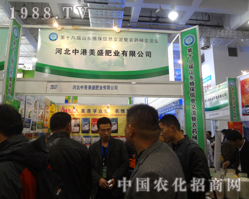 中港美盛火爆招商進行中！