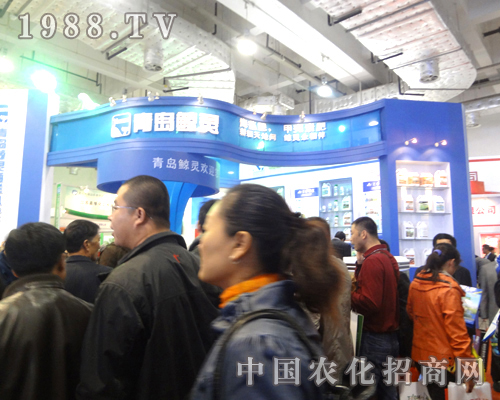     青島鯨靈招商場(chǎng)面異常火爆！