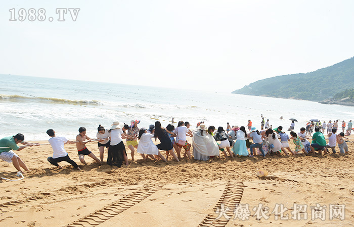 �泯�������L(f��ng)���--ӛ����֮��
