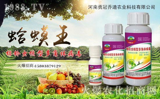 �����¹چ̵��r�I(y��)�Ƽ����޹�˾1