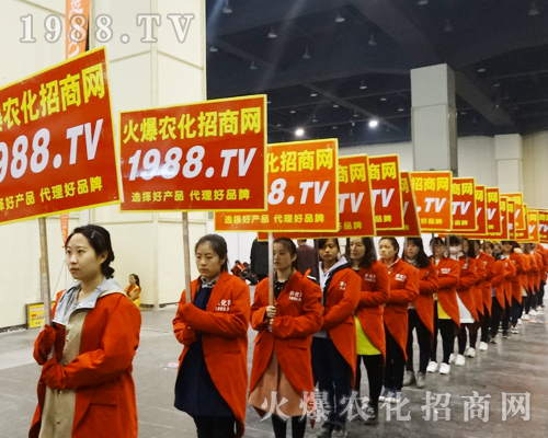     2017����ԭ���ϕ���1988.TV�����������ݲ��ɓ�