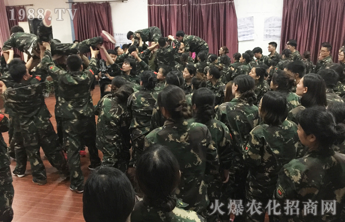 ���𱬾W(w��ng)2017��(d��ng)���X(ju��)��Ӗ(x��n)���I(y��ng)����Ӗ(x��n)���Y(ji��)