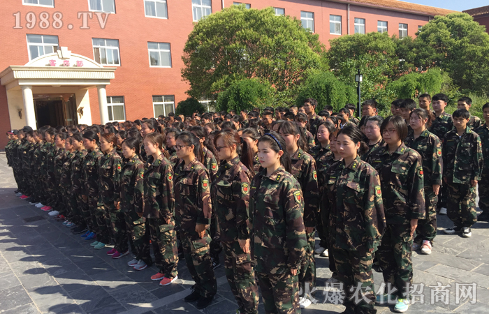  ��Ӗ�����w�������w������������������빤��