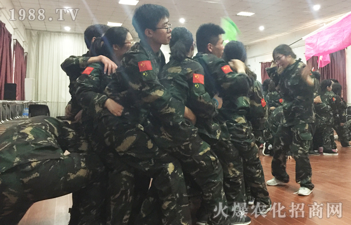 ����ȫ���Ը�������