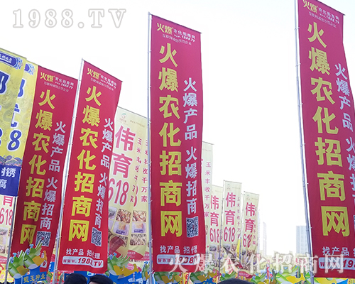 2018���������r(n��ng)ˎ����1988.TV����***��