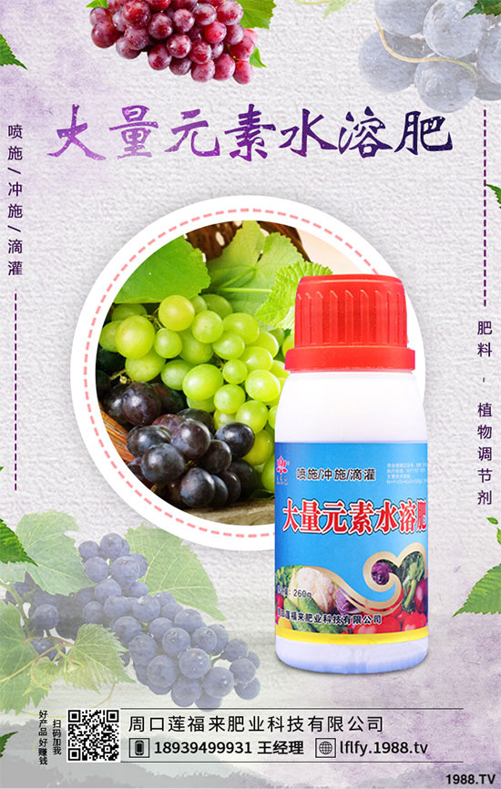 冬小麥播種后出苗不齊是怎么回事？小麥出苗不好預(yù)防措施！