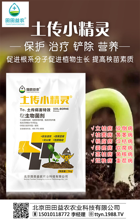 ���Տ�(f��)�Ϸʃr����������������A(y��)�y2019-10-12