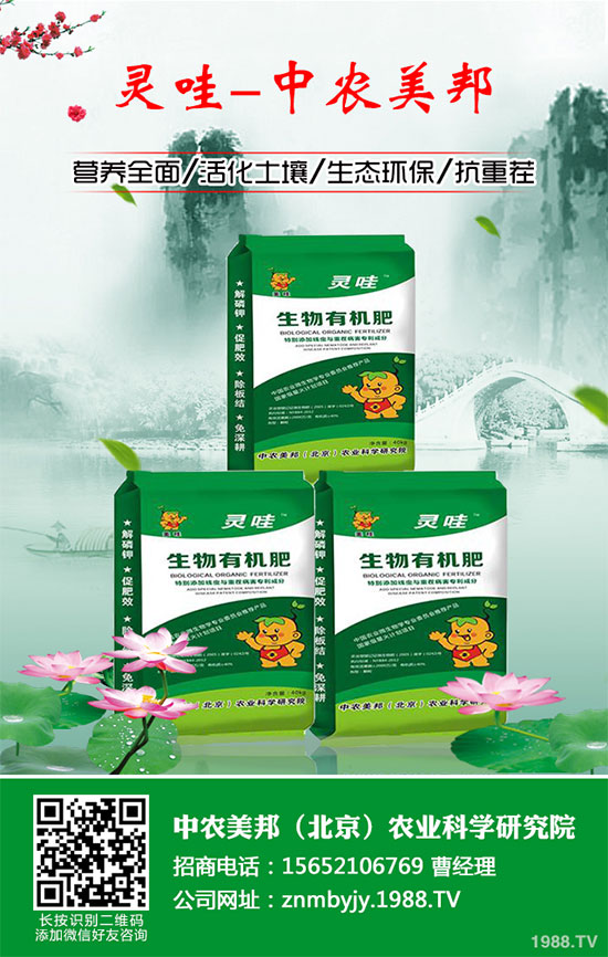 小麥播種過晚有哪些危害？小麥播種后管理方案