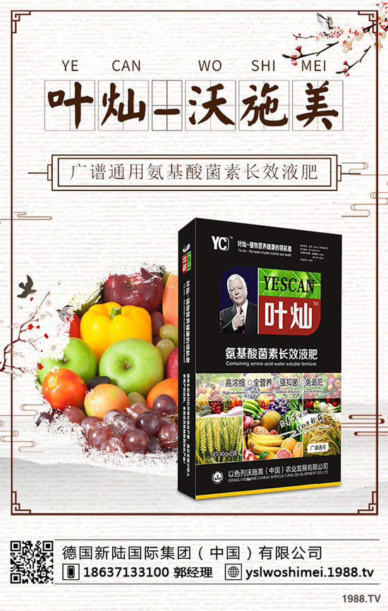 ��С����ʲô���F(xi��n)�S�������磿��С���S����������δ�ʩ��
