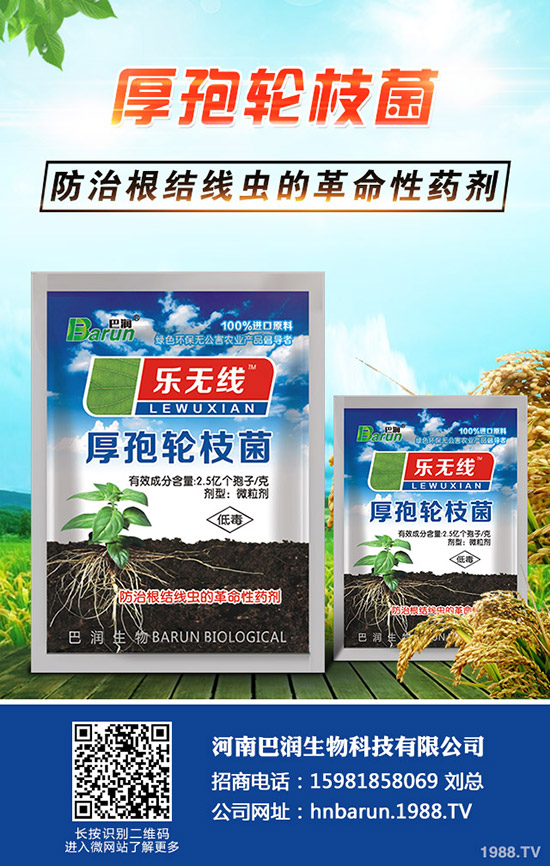 ����÷��ô�B(y��ng)������÷���B(y��ng)ֳ������ע�������