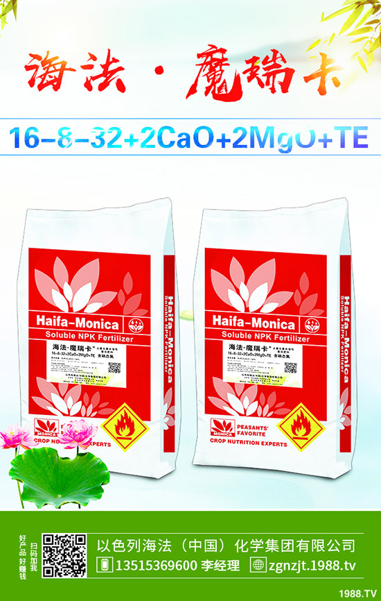     2019��10��21�ս��Շ�(gu��)��(n��i)���@�Ј�(ch��ng)�����������S��(b��o)�r(ji��)һ�[